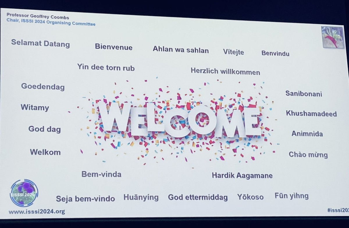 Marta Zapotoczna tweet media