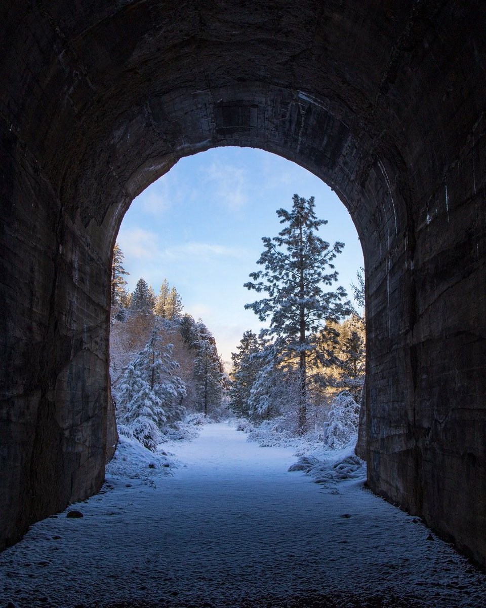 tpeakphotos's tweet image. Tunnel to Wonderland - Bizz Johnson Trail - Lassen County California

In my Etsy shop:  buff.ly/3Rjbak1 

In my FAA/Pixels shop:  buff.ly/4dobiHV 

#bizzjohnsontrail #railstotrails #lassencountycalifornia