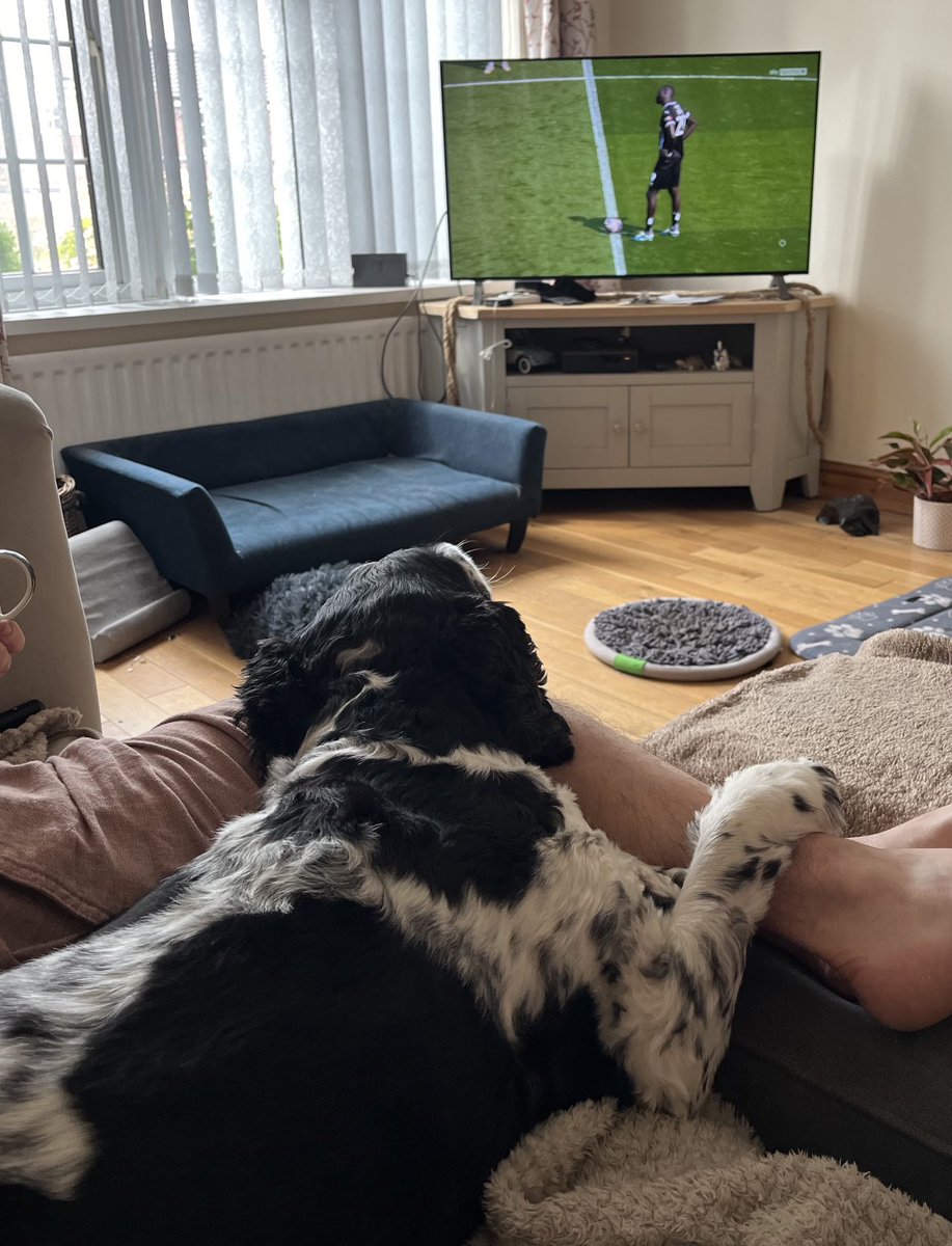 COYP!!! ⁦<a href="/Official_NCFC/">Notts County FC</a>⁩