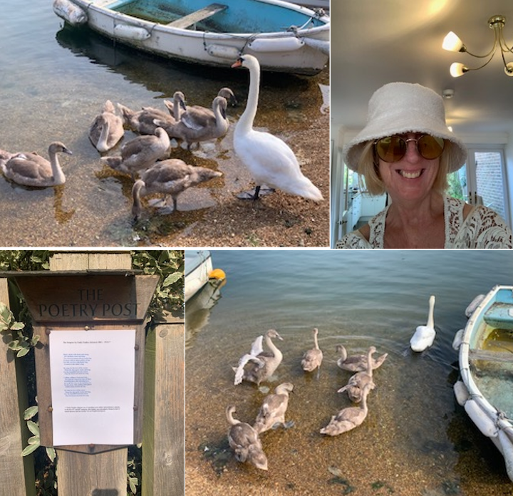 CentreVerity's tweet photo. Seven babies are a lot to care for, but each one will be nurtured, taught, and guided every step of the way. In nature, this kind of caregiving comes naturally, though it's not always the same for humans....
Please read the rest of the post on LinkedIn 
https://t.co/ulZgbV4bFt https://t.co/0M4soi9ITe