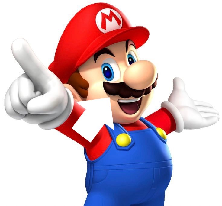 Don Rookie tweet media