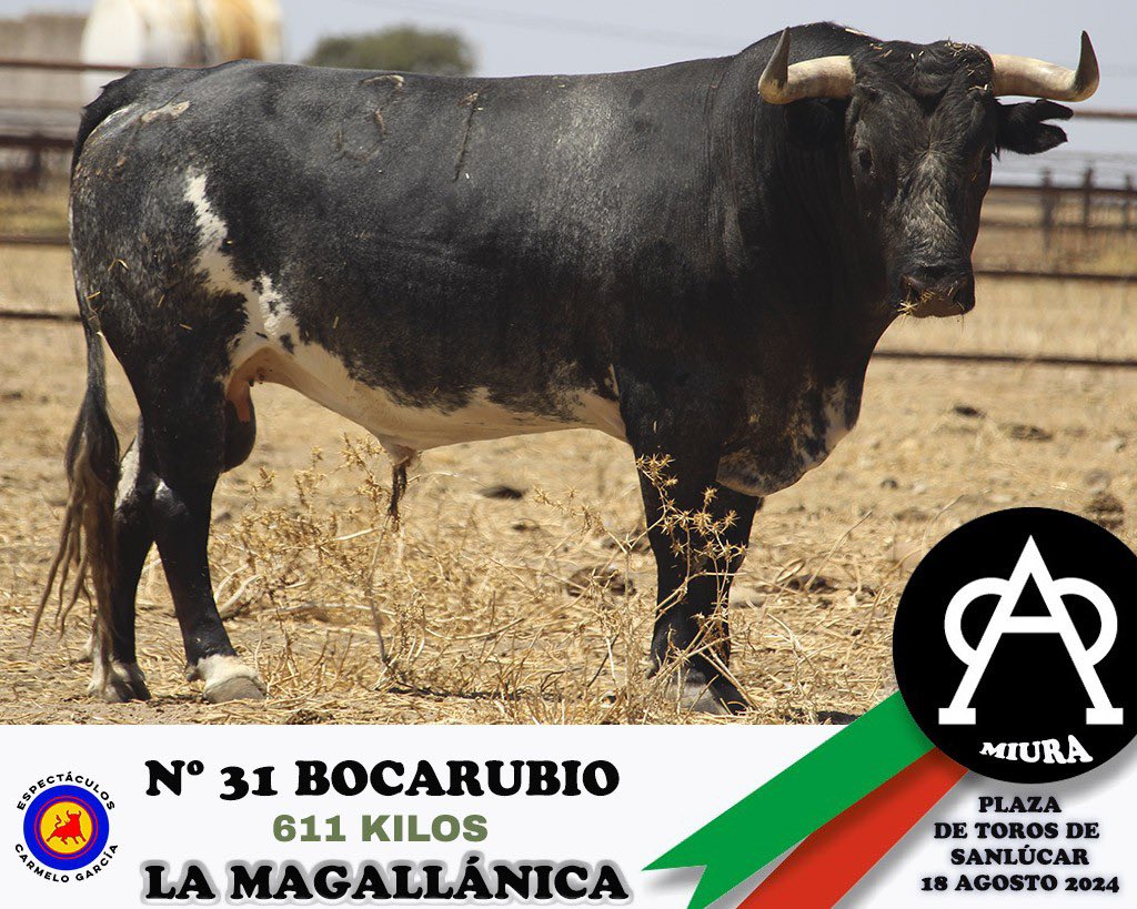 Prensa Esaú Fernández tweet media