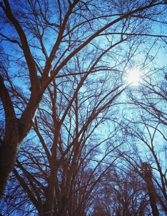 raulo331's tweet image. 🖤🌞