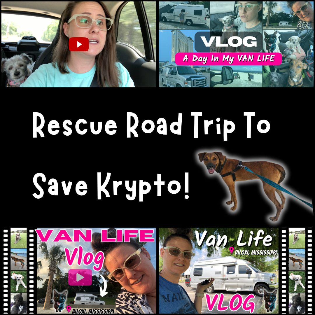 BirdiesDoghouse's tweet photo. 🛟 In case you missed it I wanted to share the story and vlog I made about my secret mission to save a dog also now know as Krypto Paws. 🐾 #AnimalRescue #animalshelter #DogAdoption #DogFoster #DogRescue #RoadTrip 📲
https://t.co/9j2XEEIP6u https://t.co/BGcAFe3LBZ