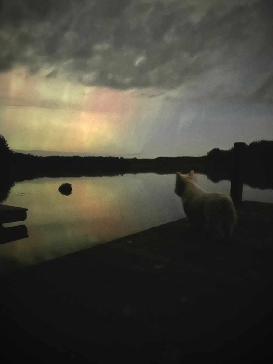 AHoltta's tweet photo. Upeat revontulet viime yönä Puula järvellä 🤩 #puula #revontulet #suomi #finland https://t.co/yDamTHWu9f