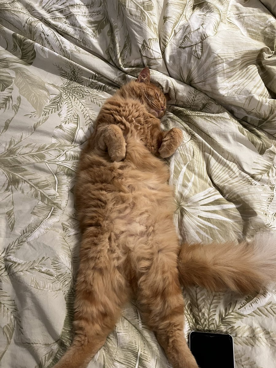 Yo look at my pussy