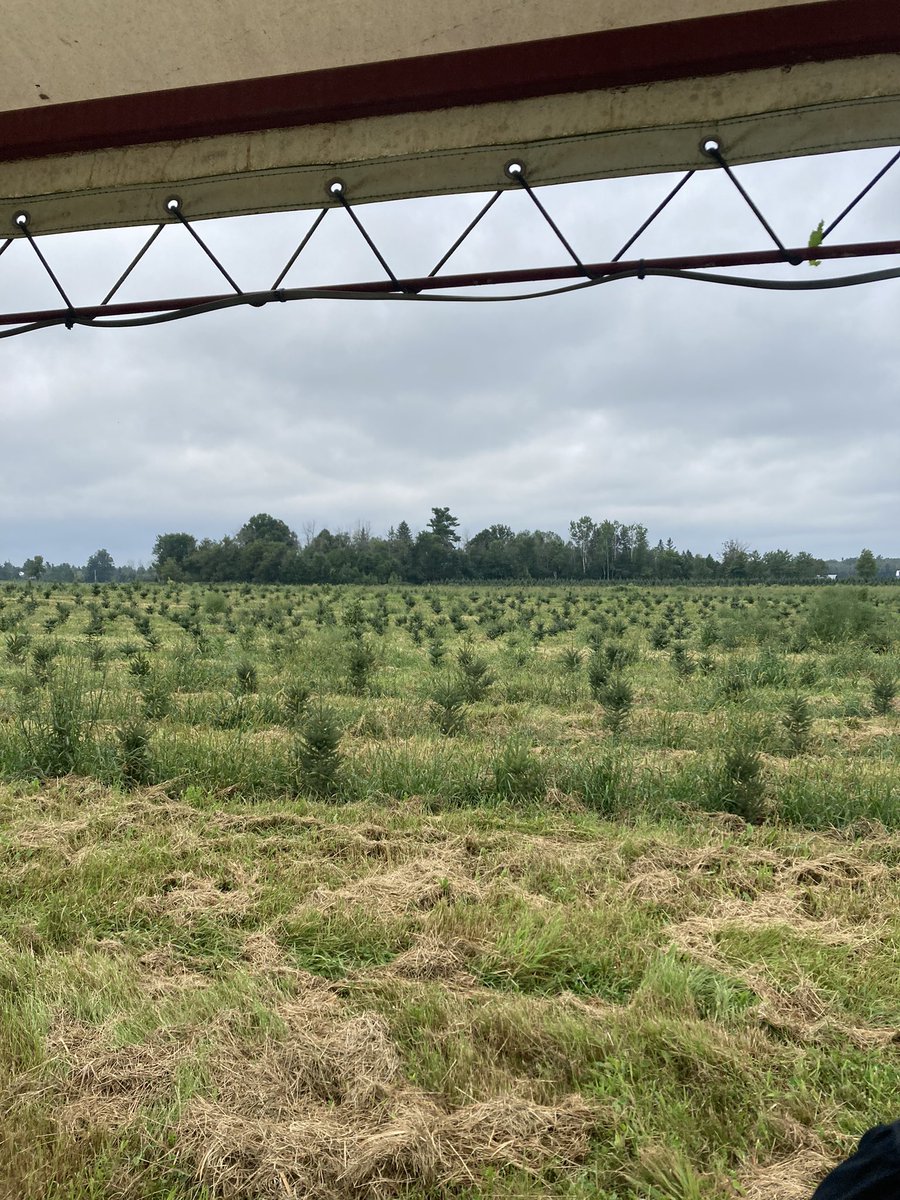 Another great Christmas Tree Farmers of Ontario Field day yesterday at Cedar Hill Christmas Tree Farm near Pakenham.  It was awesome to spend the day with fellow growers, who share their knowledge and expertise with those of us new to this crop.