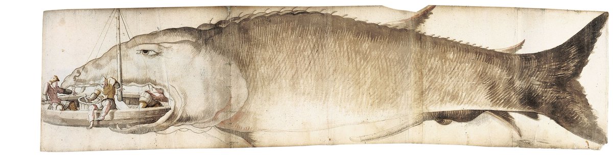 JamesLebreton5's tweet photo. A monstrous fish swallows a ship
Physica animalium, 17th century.
#HistoryOfArt
#BizarreCreatures
#BookHistory
#MedievalBestiary
#RareDocuments
#HistoricalCuriosity
#AncientMyths https://t.co/PX3dnxO0t8