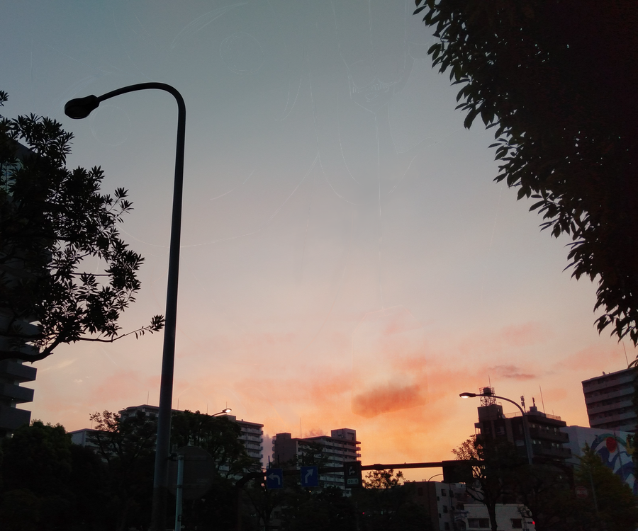avogado6's tweet photo. 朝に紅茶 https://t.co/XjWDXzCUVZ