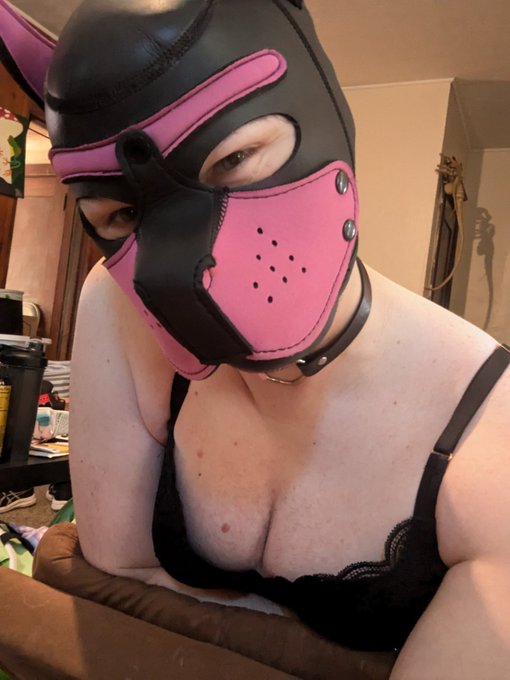 Pushup magic 👀 https://t.co/MfaywbckUn<a href="/tag/femboy"class="tags"><span>#femboy</span></a>