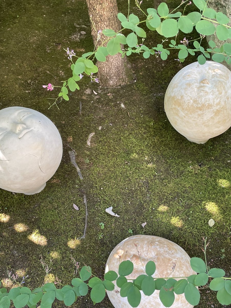 展覧会最終日。
#陶芸八幡工房
#ハチラボ
#家族展
#京都
#ギャラリー揺