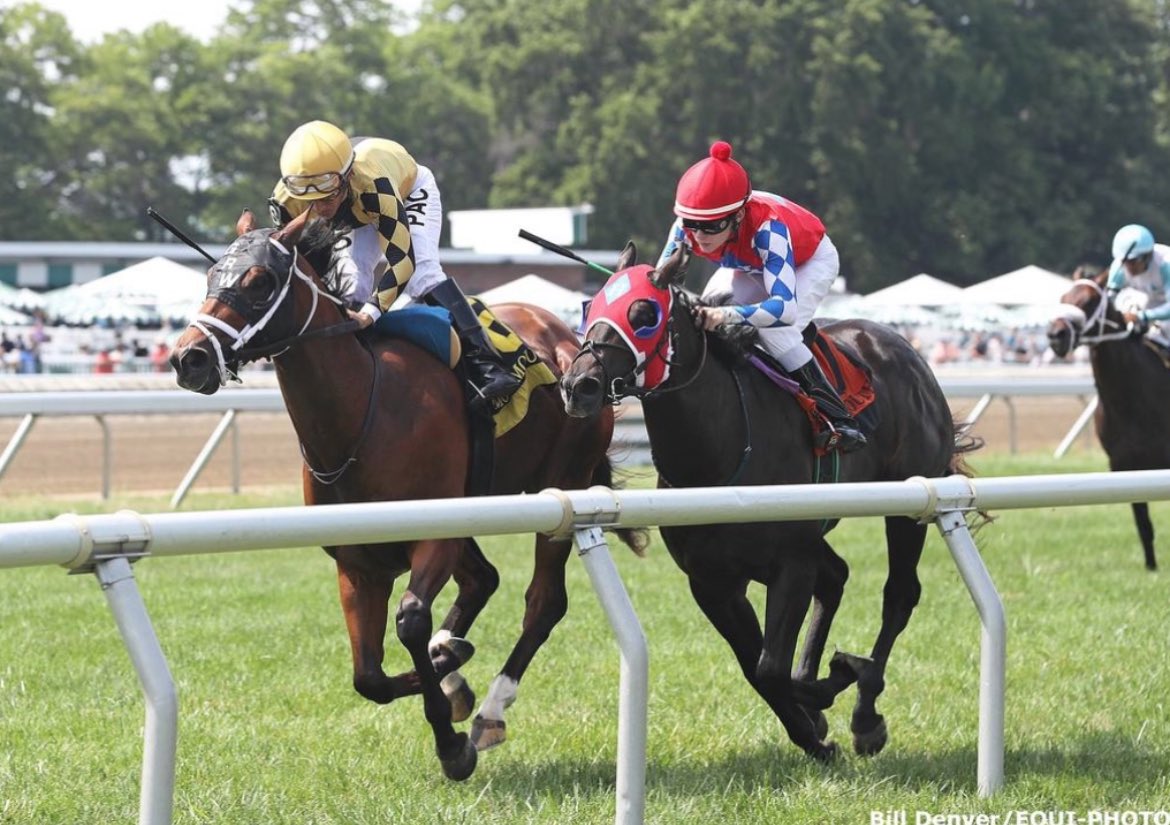 Paul McEntee (@mcenteeracing) on Twitter photo 2 turf stakes 13 days apart beaten a neck and short head , Truly blessed to have Jet Sweep Joe in my barn , we head back to ky , next race 6th october indian summer stake, then hopefully breeders cup juvenile turf sprint <a href="/samhall34/">Sam Hall</a> <a href="/philmcentee1/">phil mcentee</a> <a href="/markmcentee2/">Mark McEntee</a> 2 turf stakes 13 days apart beaten a neck and short head , Truly blessed to have Jet Sweep Joe in my barn , we head back to ky , next race 6th october indian summer stake, then hopefully breeders cup juvenile turf sprint <a href="/samhall34/">Sam Hall</a> <a href="/philmcentee1/">phil mcentee</a> <a href="/markmcentee2/">Mark McEntee</a>