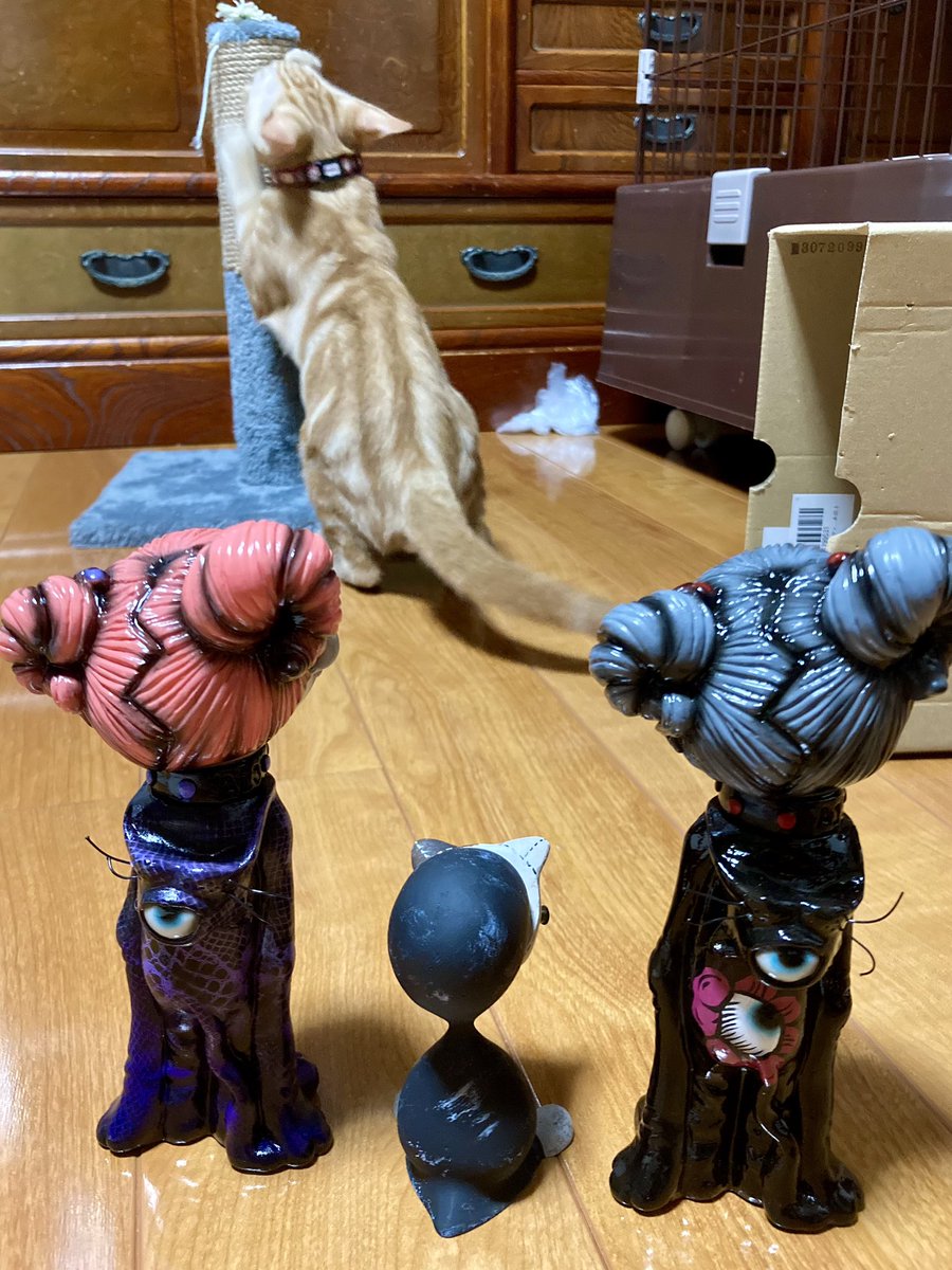 inferioryo's tweet photo. にゃんズ meets にゃんズ

MeeeeeYoちゃん達と猫マスクLottiが新入り達を見に来たようです🐈‍⬛🐈
#悪玉菌製造工場 
#plus45 
@akudama13 
@plus45designjp https://t.co/qvXM5TVaHX