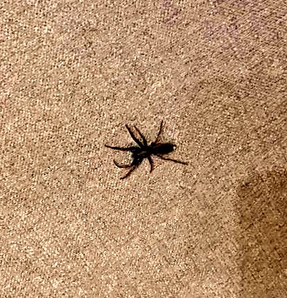 🔬🎸🚴‍♂️💻 🄼🄸🄻🄻🅂 🄻🄰🄱 tweet media