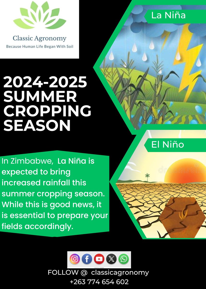 🥳While this could be good news, it's essential to prepare your fields accordingly.
 Classic Agronomy Pvt Ltd offers expert advice on ways to make the most of this season
