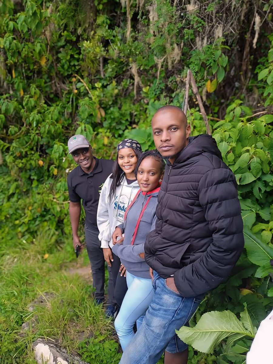 KWSAberdare's tweet photo. Immerse yourself in the breathtaking beauty of Aberdare National Park, where misty mountain ranges meet lush forests and cascading waterfalls. Nature's masterpiece awaits!
๐ธ Far Ruk
#TunzaMaliYako #ExploreExperienceConserve #ScenicSplendor #NatureLovers https://t.co/562Du9juIx