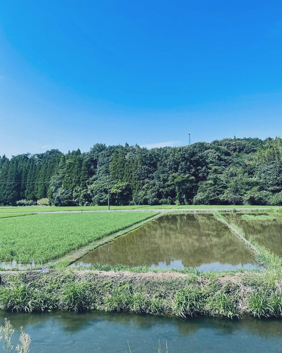 toolbomb's tweet photo. 久しぶりのロードポタ

夏場によく行くコース
川沿いで木陰多め
日本の夏の原風景って感じで気に入ってます

#熊本 #甲佐町 #緑川 #ロードバイク #コルナゴ  #COLNAGO #A2r #ゆるポタ https://t.co/WvPIFrzAz4