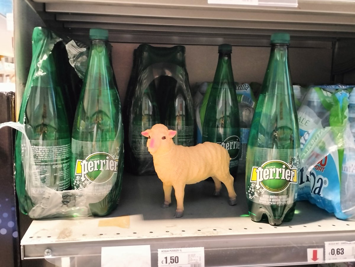 “cult of the lamb” 🐑