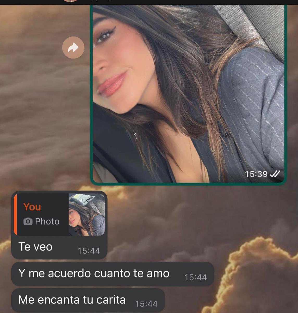 Metas: