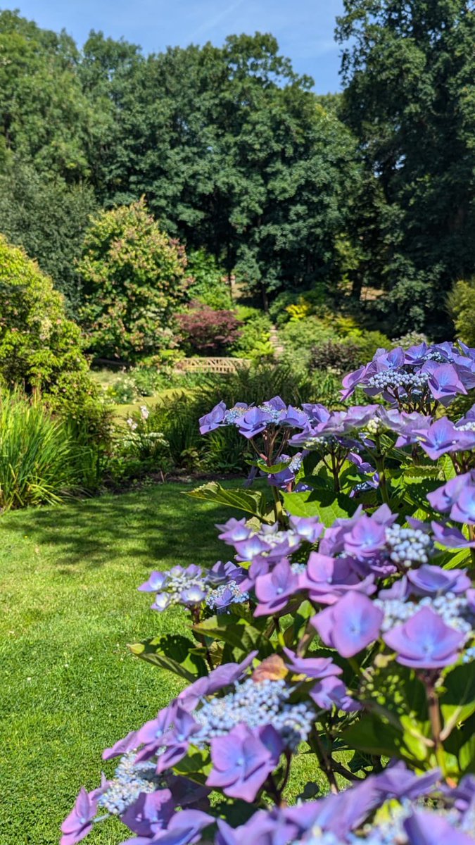 We’re open today from 10am with the best of summer colour. 

Swathes of flowers in full bloom, bordered walkways, woodland walks, water gardens, lakeside picnic and play area, chapel and a Tea Room. 

A lovely way to while away a Sunday ☀️