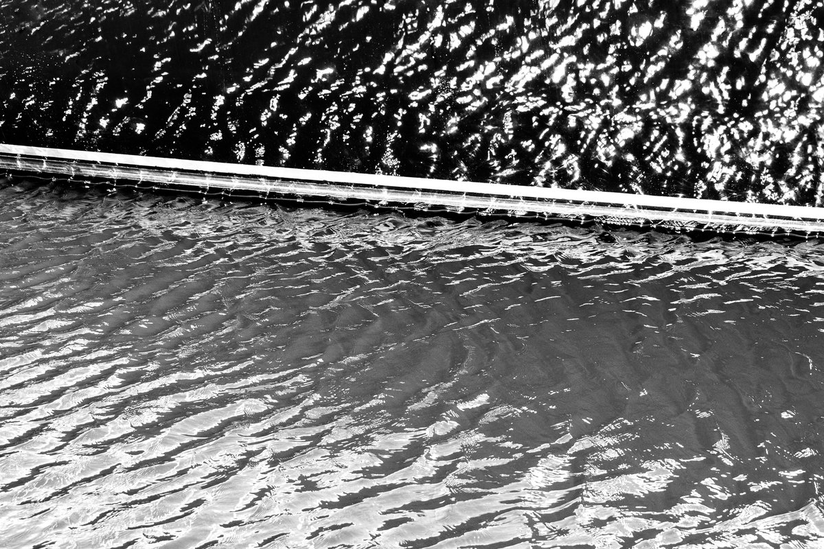 GM 🖤

New abstract photo minted into my BNW Lines collection!

"Lines At Sea"
1/1
Bidding starts at 0.01 $ETH 

foundation.app/mint/eth/0xC9d…