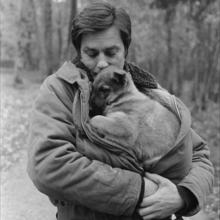 ComunicadorPue's tweet photo. "¿Usted cree que mis perros saben que soy Alain Delon? ¡No les importa! Mis perros me aman sin importarles quién soy. Ellos dan un amor incondicional, sin pensar, completo y verdadero."

Alain Delon (1935 - 2024) https://t.co/89Zp6Ux3lY