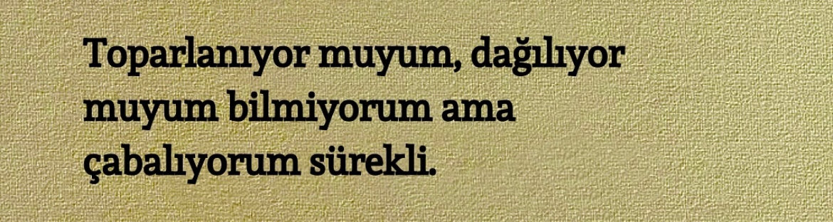 sᴇɴsɪᴢ ʜᴀᴛıʀᴀ (@sensizhatiram) on Twitter photo 