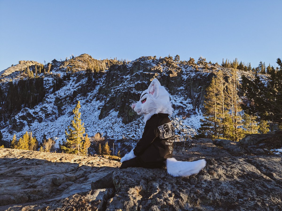 “Everyone I have ever cared has Died or left me. 

So don’t tell me I’ll be better off with someone else because truth is, I’d just be more scared”

Ellie