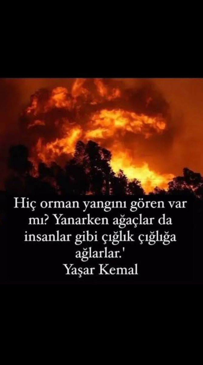 Söyleyecek sözüm yok. Görmedim ben iyiki de  görmedim belkide, iş arkadaşlarımın can pazarındaki endişe ve korku dolu çaresizlik dolu sesleri yetti bana , asla unutamayacağım anlatılanları