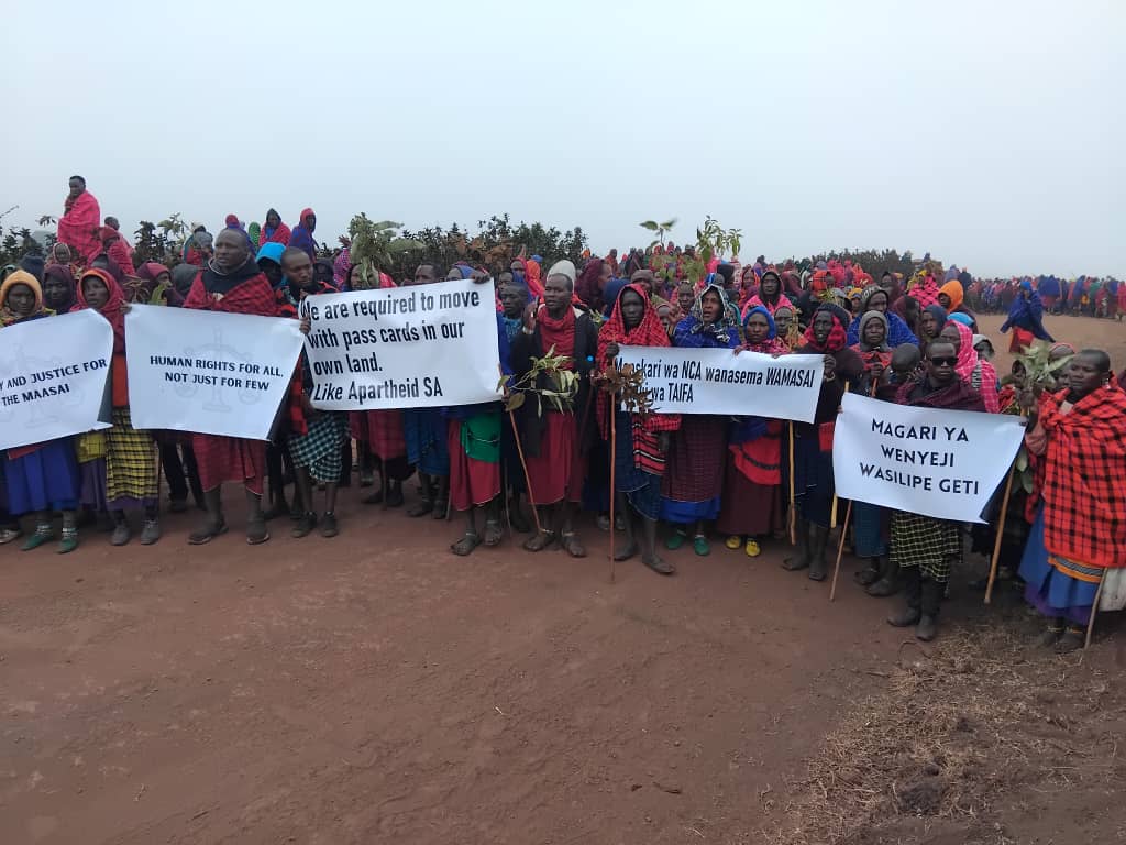 badwizzytz's tweet photo. STOP NGORONGORO LAND GRABBING! https://t.co/SR0hUImOkE