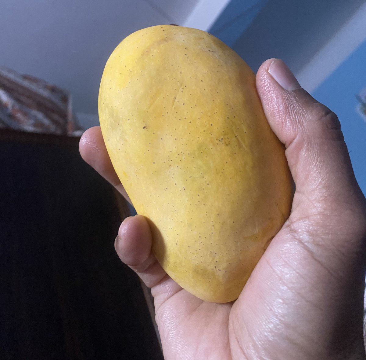GaniAnsarii's tweet image. सिजनको अन्त्यतिर झन् मीठो लाग्छ। किन होला?
#MangoLover