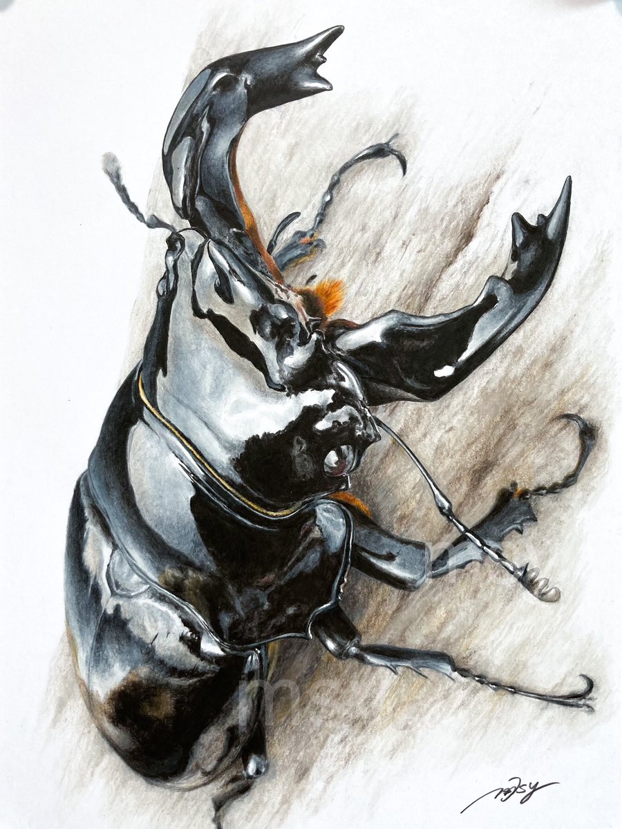 油絵クワガタムシ msy on X