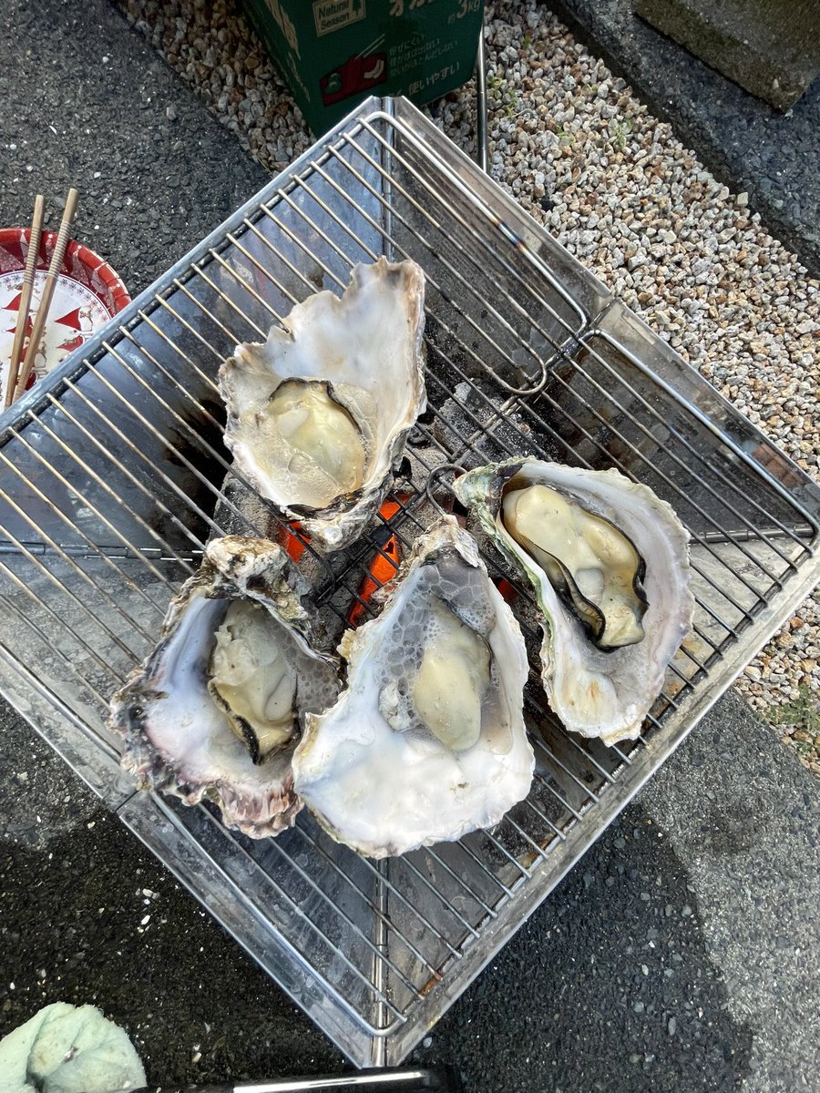 nc26_chopper's tweet photo. 牡蠣とビールで最高 https://t.co/ftvfJOydSa