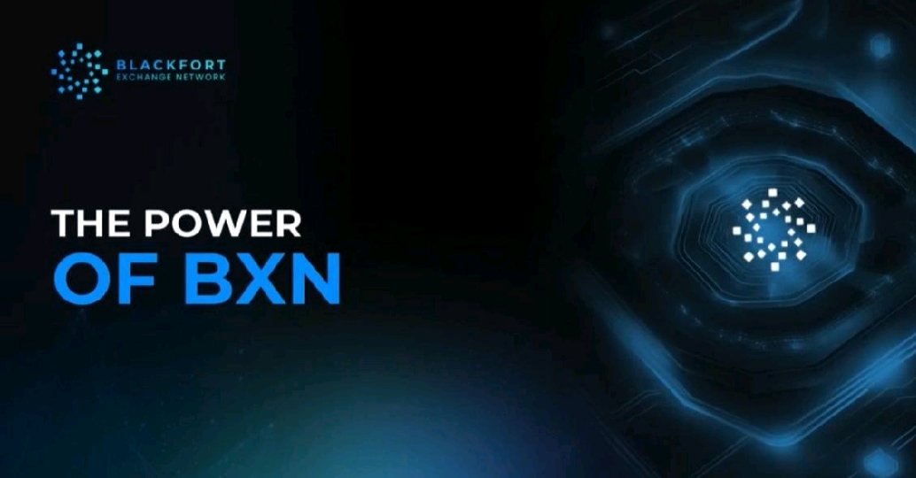 BlackFortALB's tweet photo. Zbuloni fuqinë e BlackFort BXN! Blockchain-i ynë është krijuar për efikasitet, shpejtësi dhe siguri.

Bashkohuni me një rrjet të lulëzuar ku çdo transaksion ka rëndësi.

#BlackFort #BXN #Blockchain https://t.co/zP5Pjqyj9M