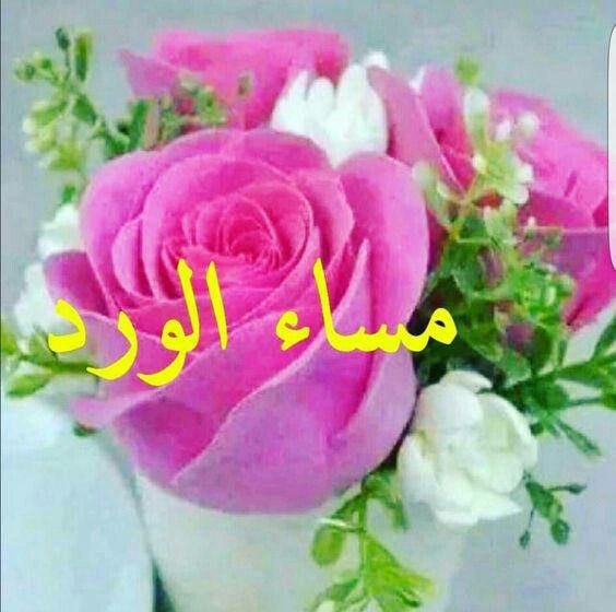 📩🕊️

: " مســـاء النـــور وعطـــر الزهــور ،،،، يا أطـيب  وأجــــمل حضـــور ،،، مسائكم أرق من نسيـــم البحر ، وأطيب من العطور وأعذب من همـــسات الطيور ،،،  بكم يطيب المكان ويســـعد المســـاء » ..🤍🕊️
:
:
:                                           #مساء_الــود_والـــورد 🌹