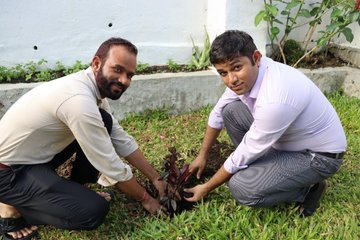 UltimatumArmada's tweet photo. Green PNG - Indian diaspora planted trees with joy and pride supporting PM Modi's #एक_पेड़_माँ_के_नाम (#Plant4Mother) campaign for a greener future: High Commission of India, Port Moresby, Papua New Guinea @ind_png
#Treevolution https://t.co/vLmpNidvOs