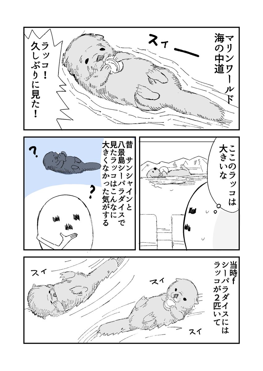 ラッコ見てきました 