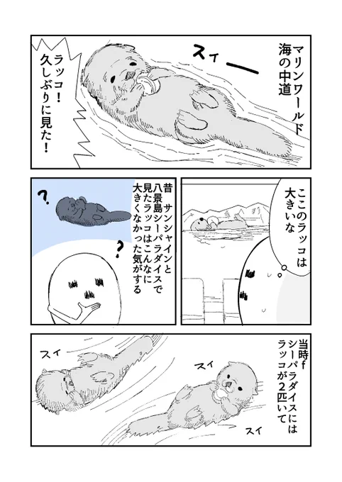 ラッコ見てきました 