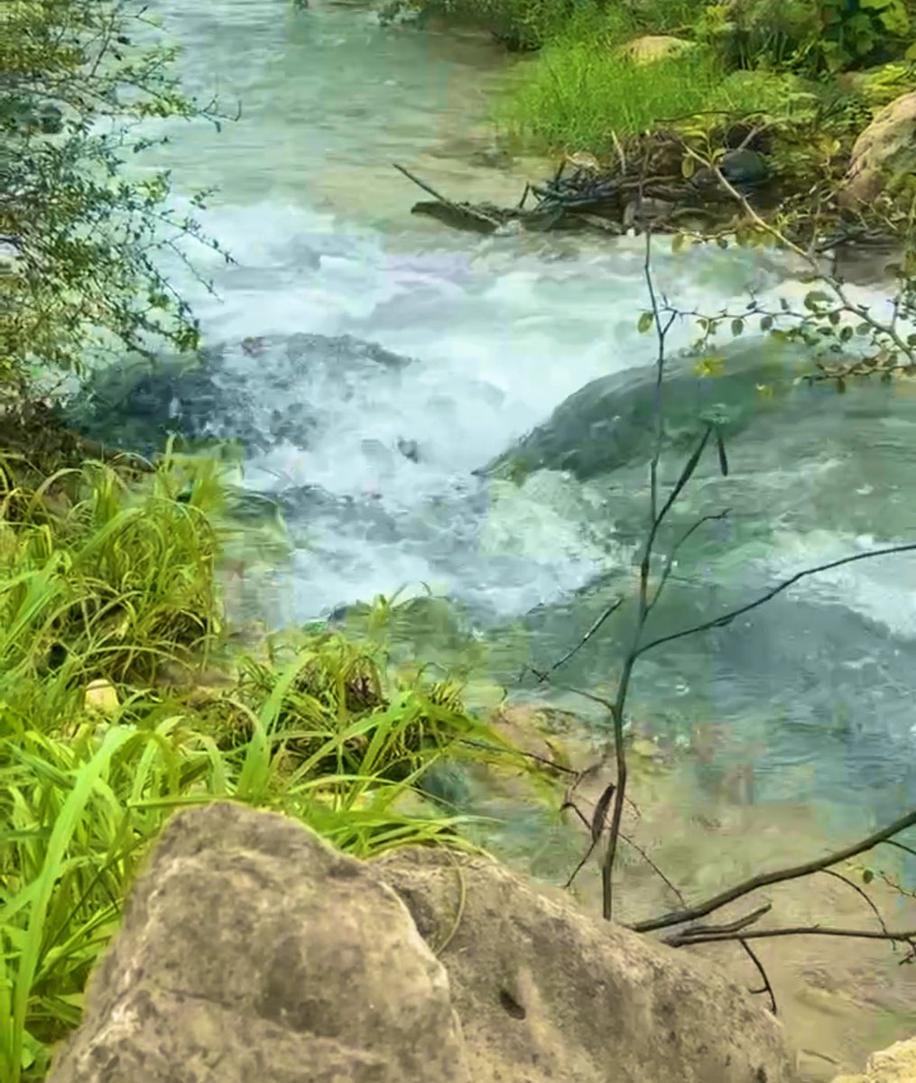 "
تــعلموا قراءة ،،
الإحساس..
 قبل الحــروف.
فالحروف ..
للجميـــع.. 
أما الإحساس .. 
فهو لمن يملك قلباً..