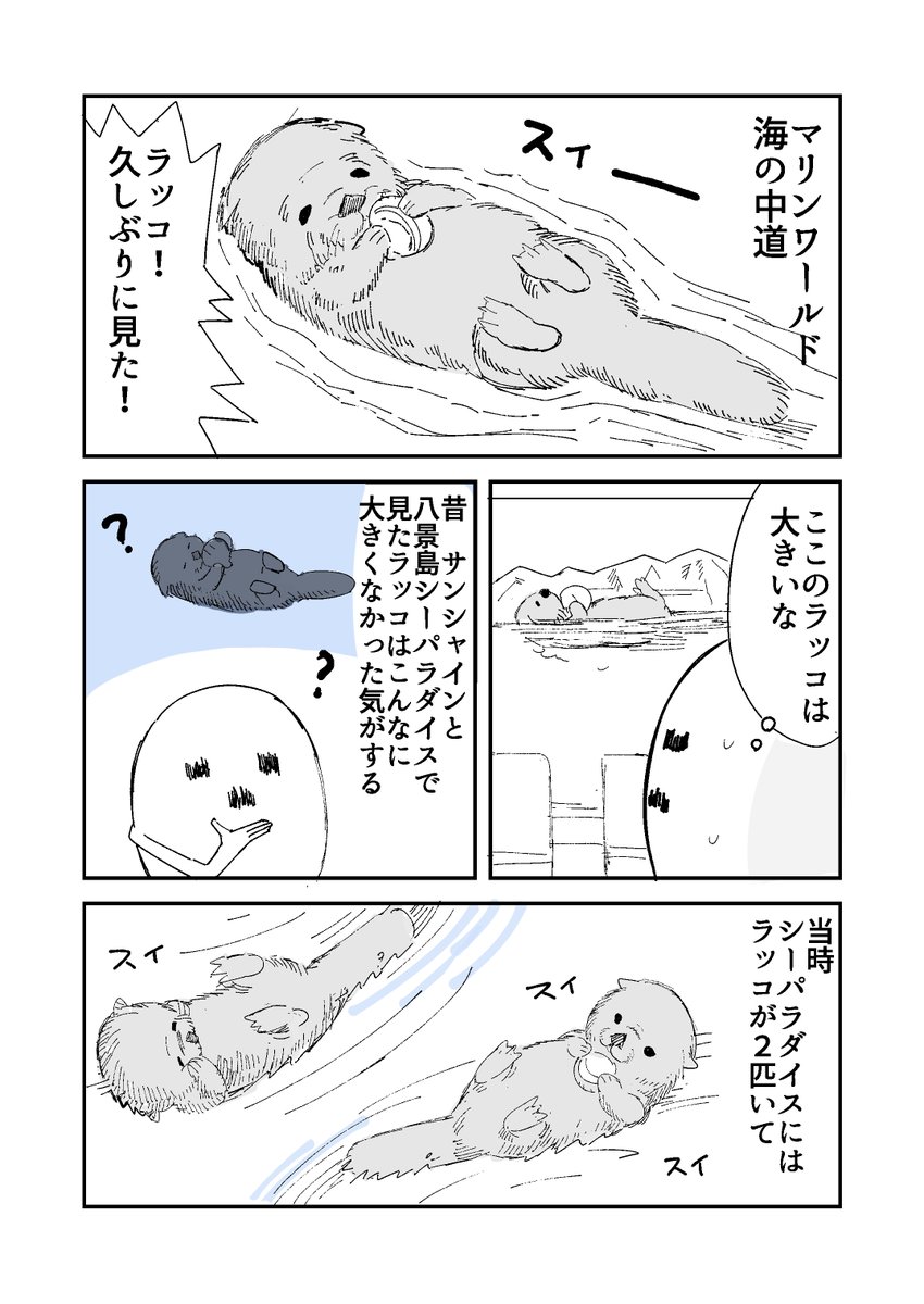 ラッコを見てきました 