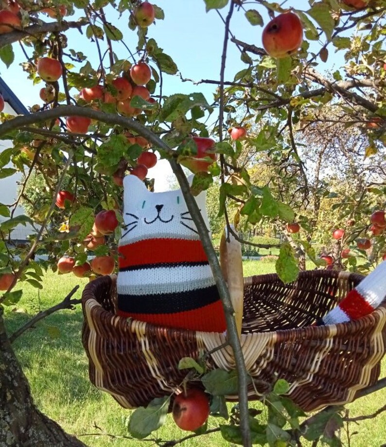 3WoollyOwls's tweet image. Apple festival is coming ! #Redcat #UKGiftHour #UKGiftAM #shopindie #catlovergift #caturday etsy.me/3X5H0UD via @Etsy