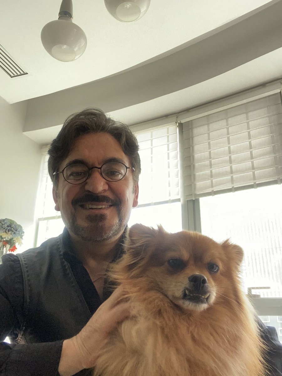 kemal62200437's tweet photo. #mydog #foks #sevimlidost https://t.co/Rprjur7wPl