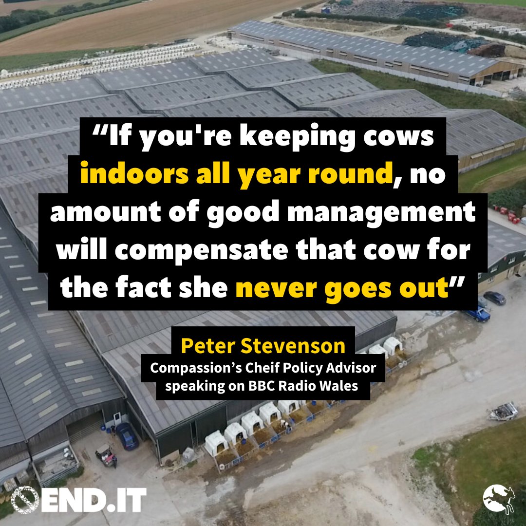 Compassion in World Farming UK tweet media