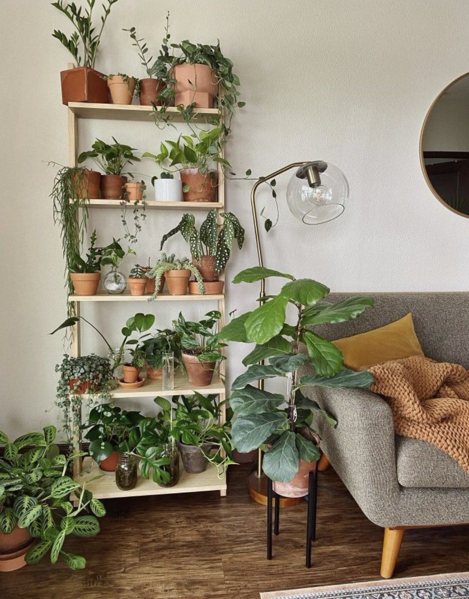 اخضِرار 🍃 (@picgreen) on Twitter photo 