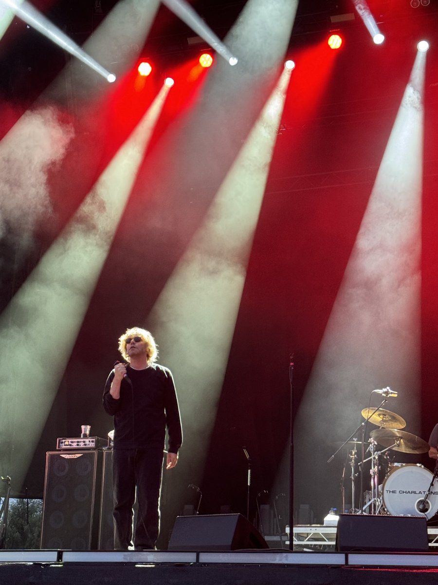 Mr Haugh tweet media