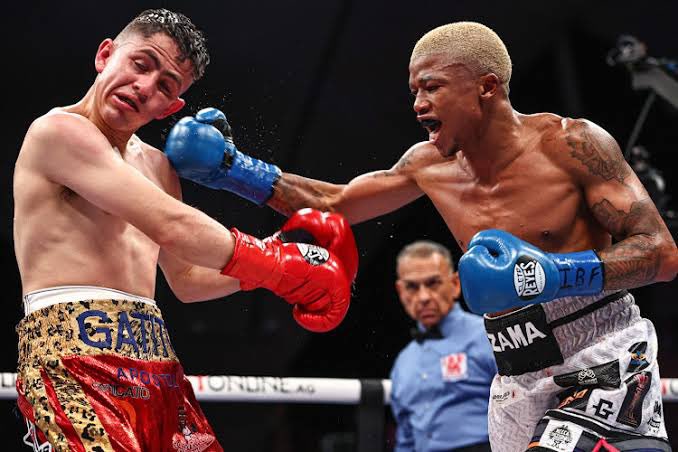 unclescrooch's tweet photo. We are suffering from success🇿🇦🇿🇦🇿🇦 Sivenathi Nontshinga is the IBF Light-flyweight Champion of the World! Let’s give him his flowers! 

No DNA 🧬 Just RSA🇿🇦 https://t.co/kUcAAd1WqA