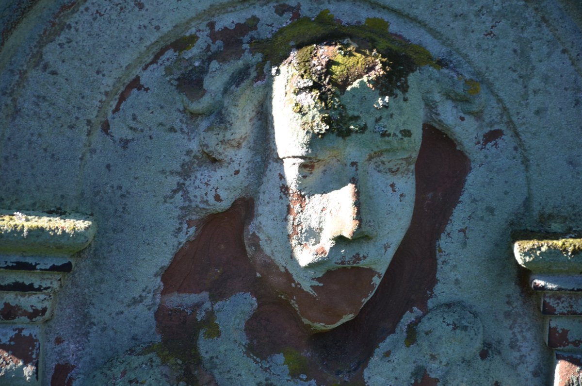 TyneSnapper's tweet photo. #Ovingham #Northumbrland A heavily weathered headstone in the churchyard of St Mary Ovingham Northumberland on 28th February 2017. https://t.co/O2tOlm3LlN