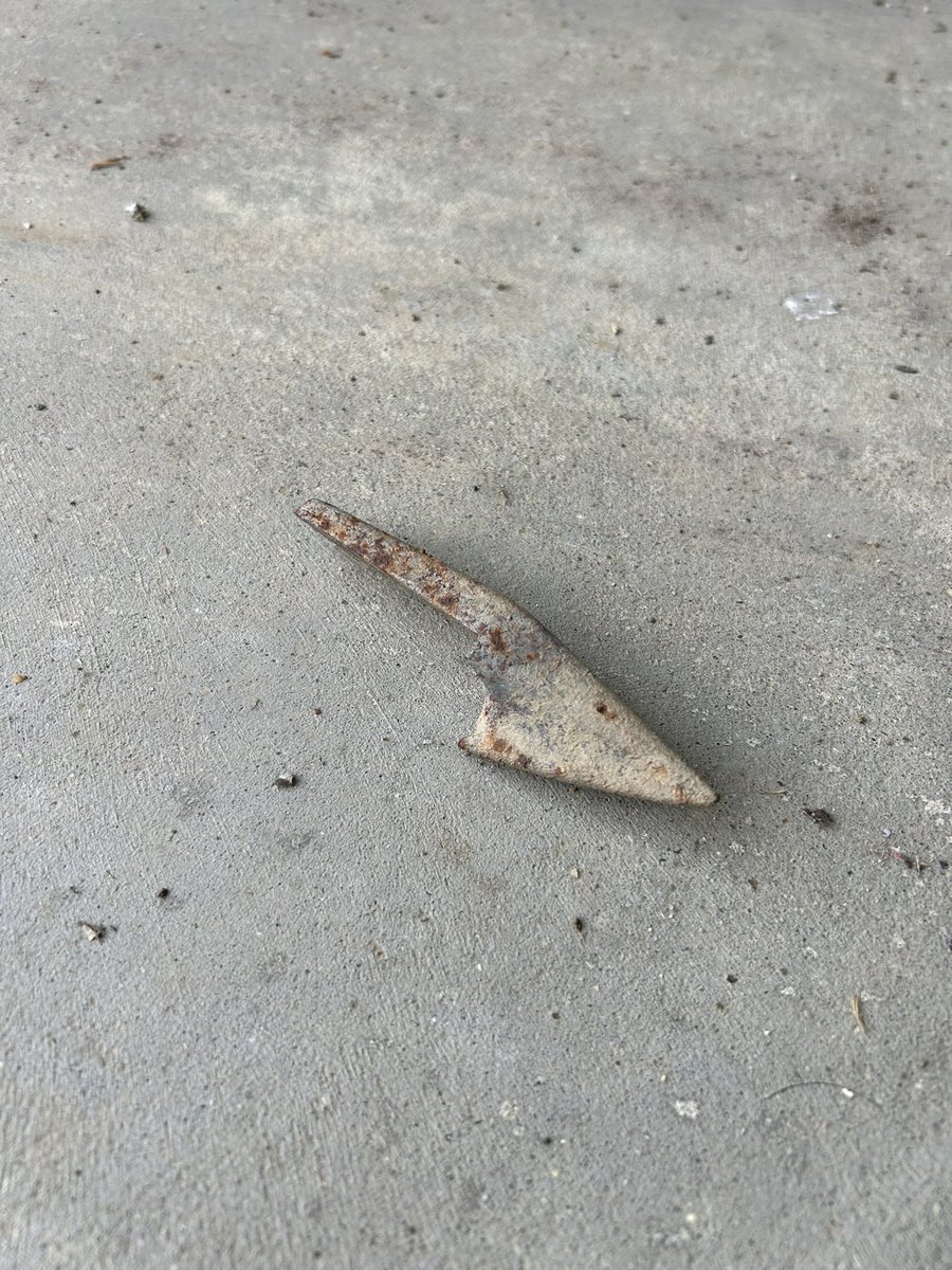 Rich Maddever tweet media