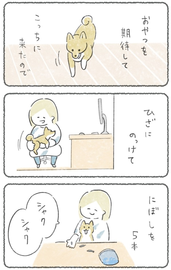 犬のいる幸せ 