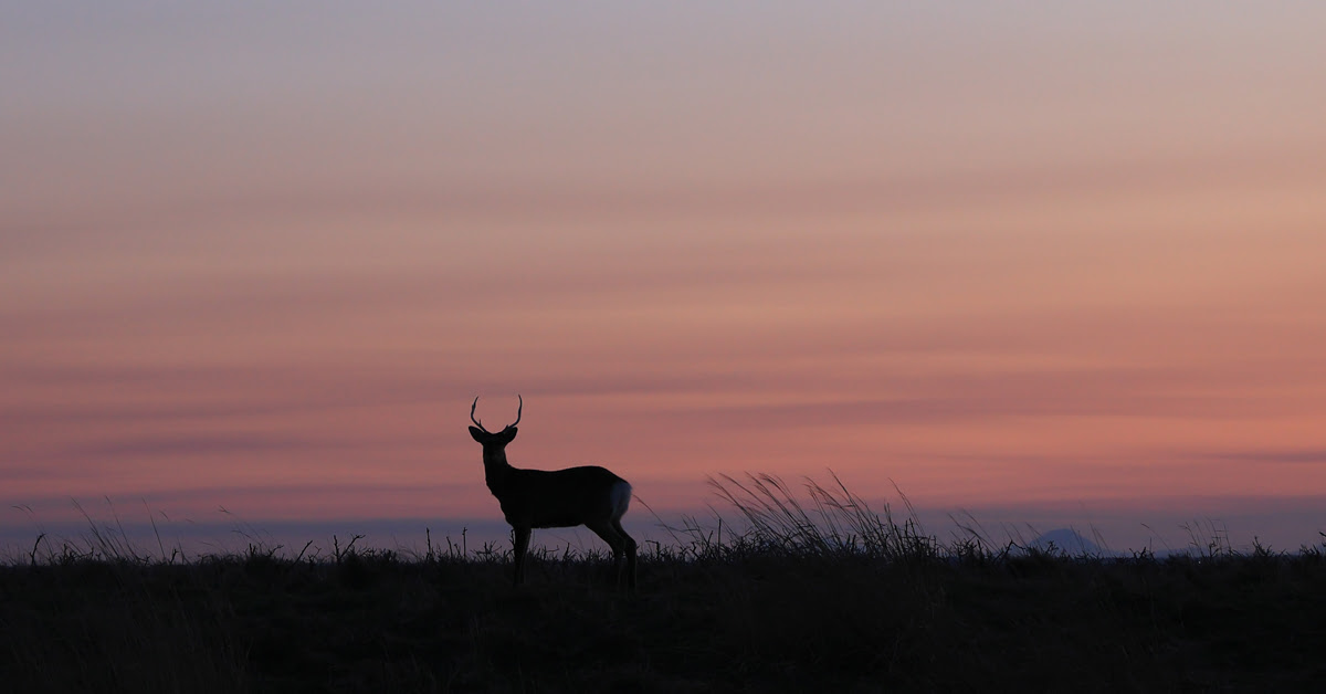 CliftonCameras's tweet image. 📸 Exciting news for Canon RF users! 

Sigma has produced its first RF Mount lens – the Sigma 18-50mm f2.8 DC DN Contemporary Lens! 🌟 

Check out these stunning images! 😍 

👉 ow.ly/2v4l50SRXl4

#CanonRF #Sigma1850mm #WideAperture #cliftoncameras
@SigmaImagingUK